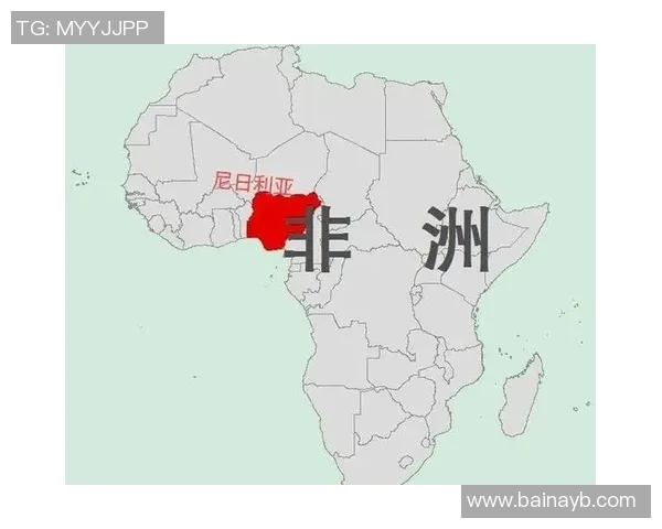 美国与尼日利亚的精彩对决20分之战引发全球关注