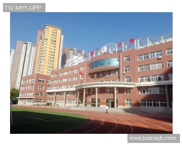 许钟豪的奋斗历程与成功秘诀探秘：从平凡到卓越的成长之路